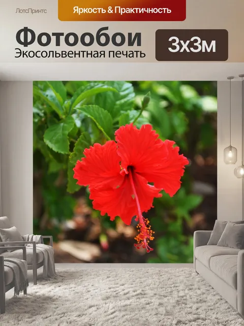 Фотообои Цветок
