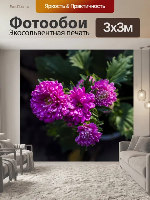 Фотообои Фиолетовый
