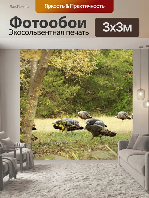Фотообои Дикая Турция в лесу осенью