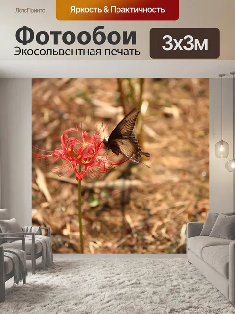Фотообои Бабочка