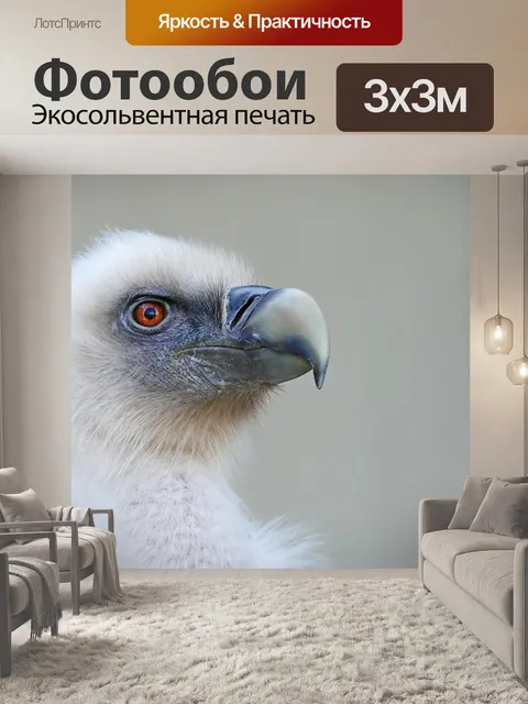Фотообои Птица
