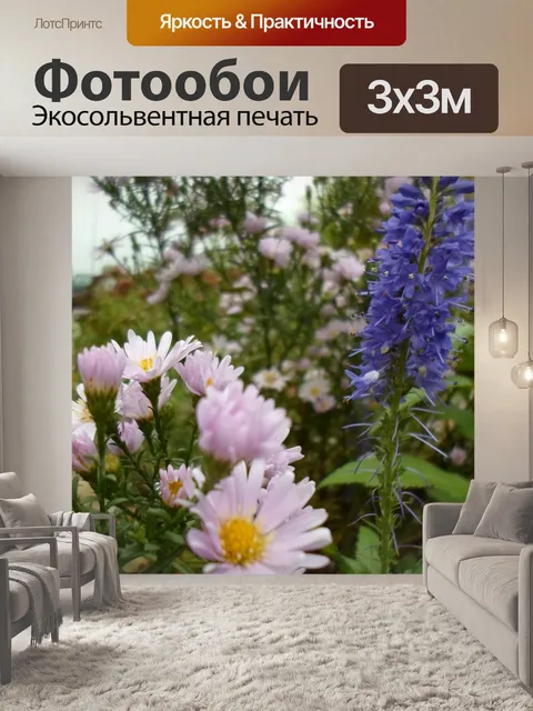 Фотообои Белый и голубой цветок
