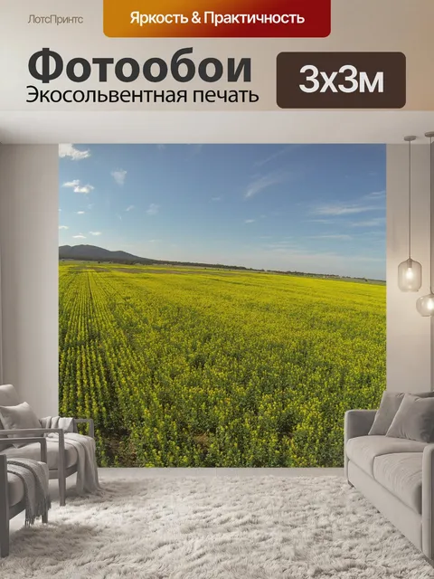 Фотообои Канолы поля