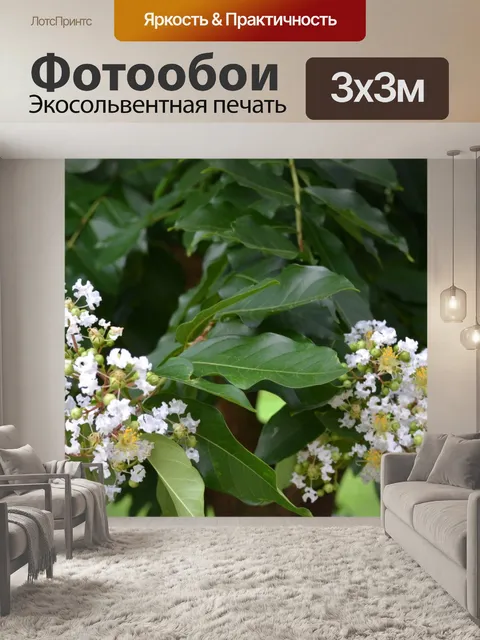 Фотообои Белый цветок с зеленые почки
