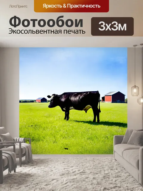 Фотообои на широком зеленом пастбище мирно пасется черная корова породы ангус, ее блестящая шерсть сверкает на солнце