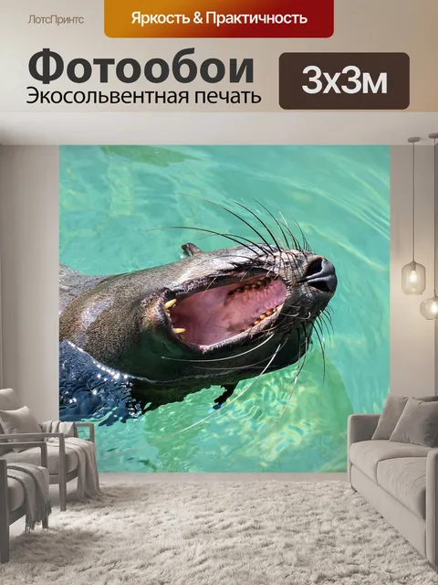 Фотообои Морской лев