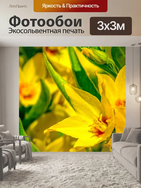 Фотообои Желтые цветы HD обои