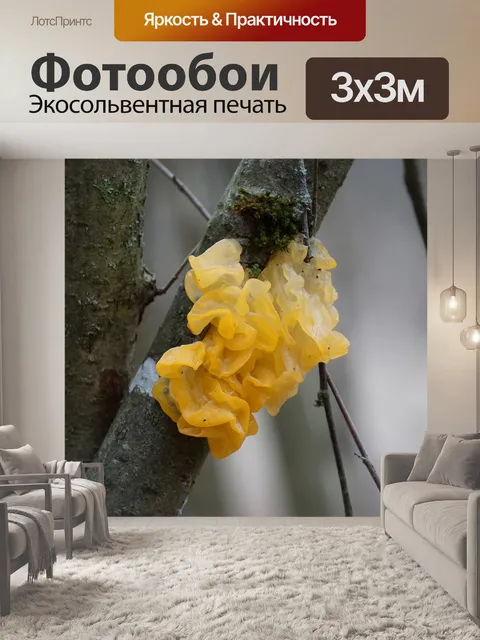Фотообои Золотисто-желтый дрожь