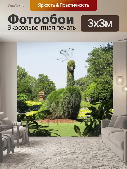 Фотообои Гигантские Павлин Топиар