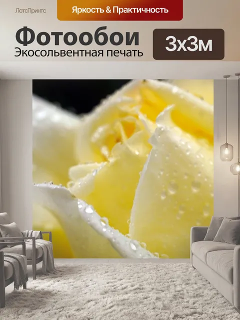 Фотообои Роза