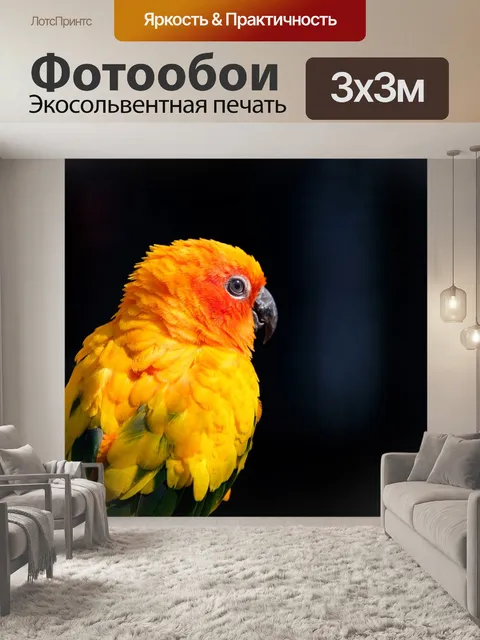 Фотообои Попугай