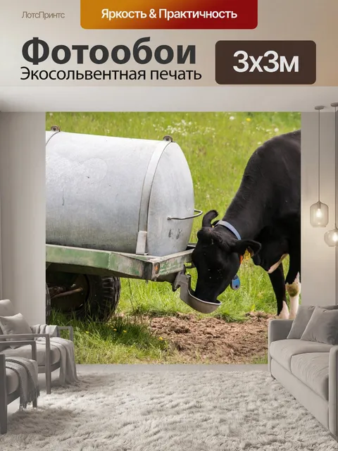 Фотообои Корова