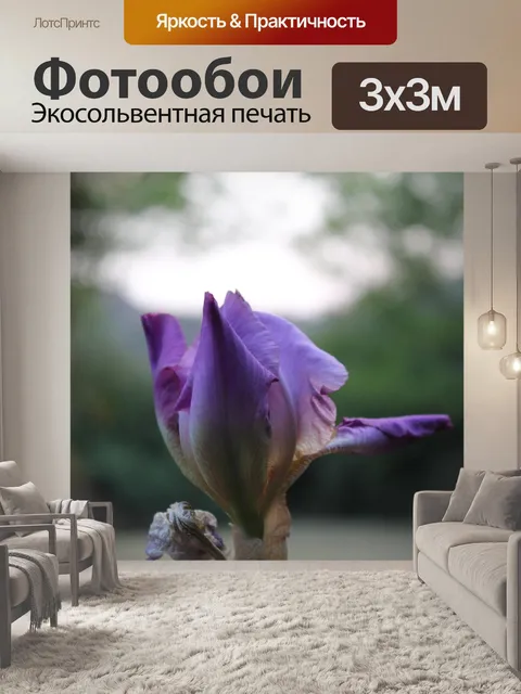 Фотообои Цветок