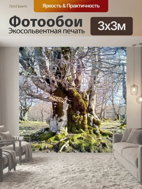Фотообои Является