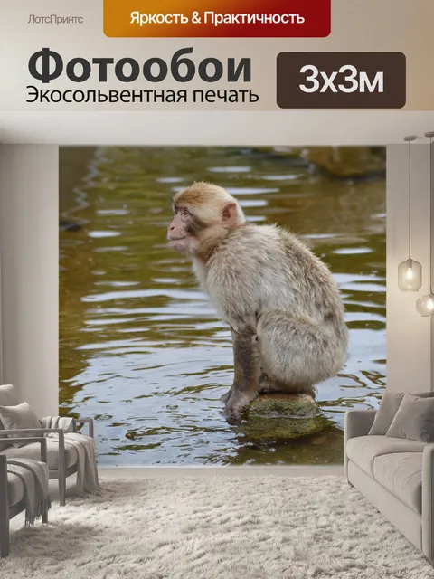 Фотообои Воды 10 обезьян