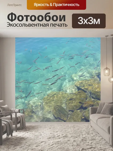 Фотообои Рыбы