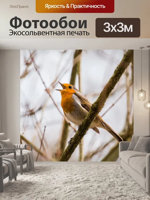 Фотообои Птица