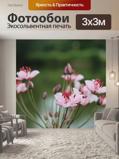 Фотообои Цветок