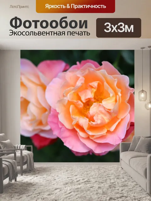 Фотообои Розовые розы