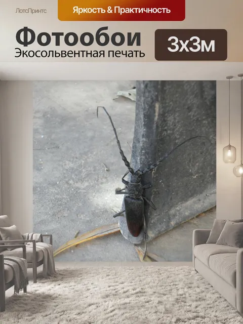 Фотообои Ползти