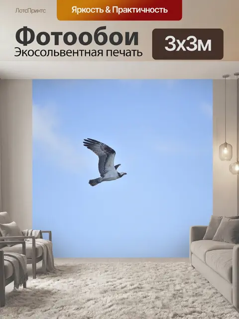 Фотообои Скопа