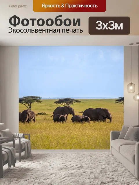 Фотообои Слоны