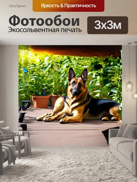 Фотообои немецкая овчарка лежит на деревянной веранде, окруженная зелеными растениями