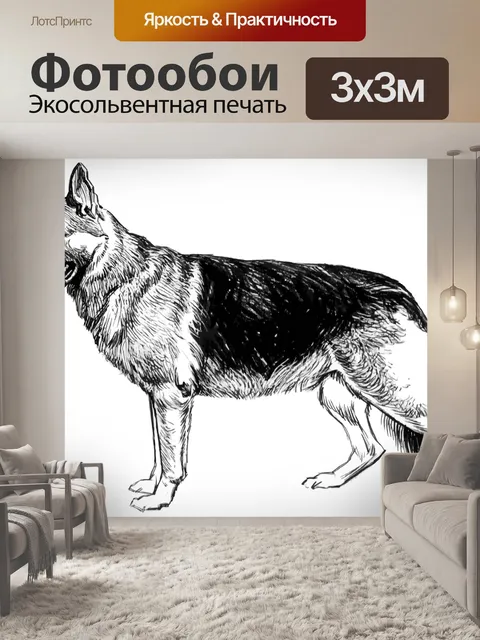 Фотообои Собака немецкая овчарка