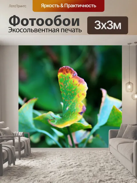 Фотообои Желтый хребет гинкго билоба лист