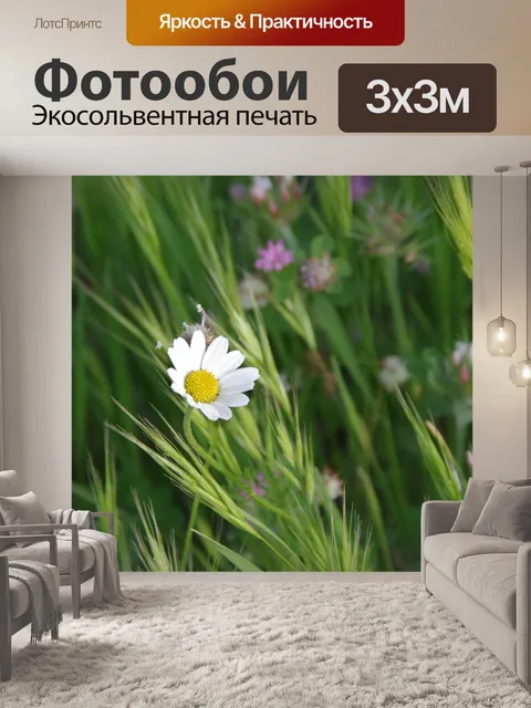 Фотообои Полевые цветы с белой ромашкой