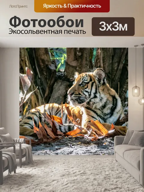 Фотообои Малайский тигренок