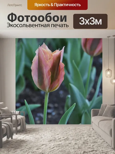 Фотообои Цветы