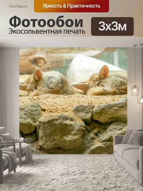 Фотообои Зоопарк