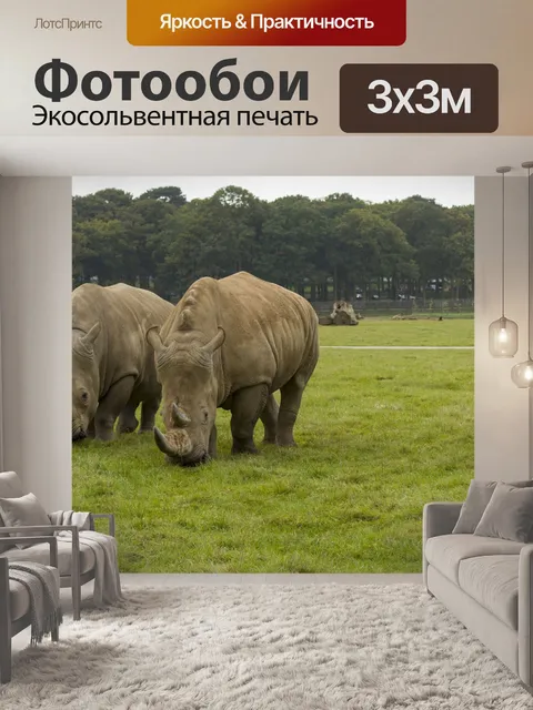Фотообои Носорог