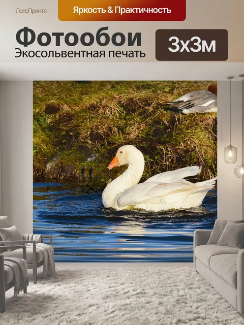 Фотообои Белый гусь