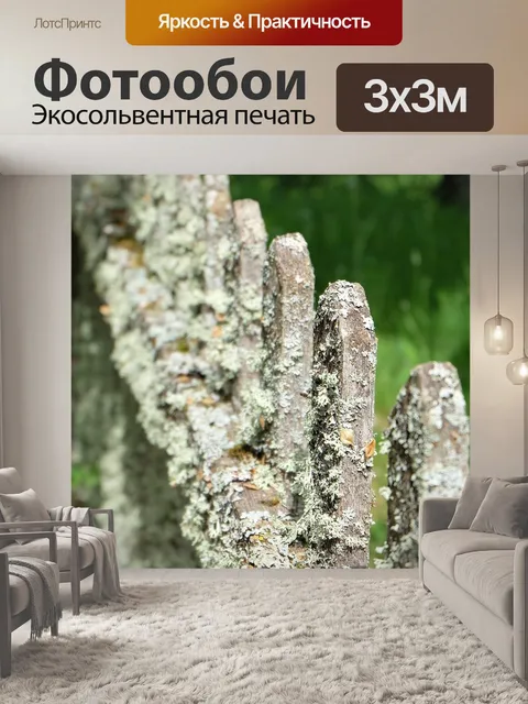 Фотообои Забор