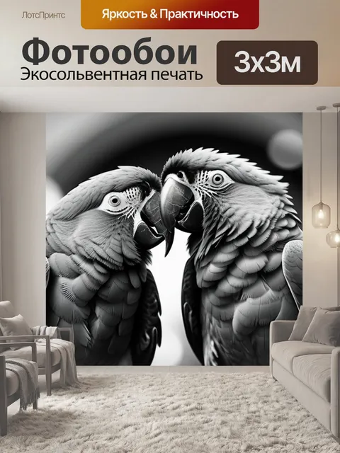 Фотообои с попугаями чернобелый