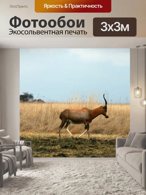 Фотообои BLES доллар ходьба