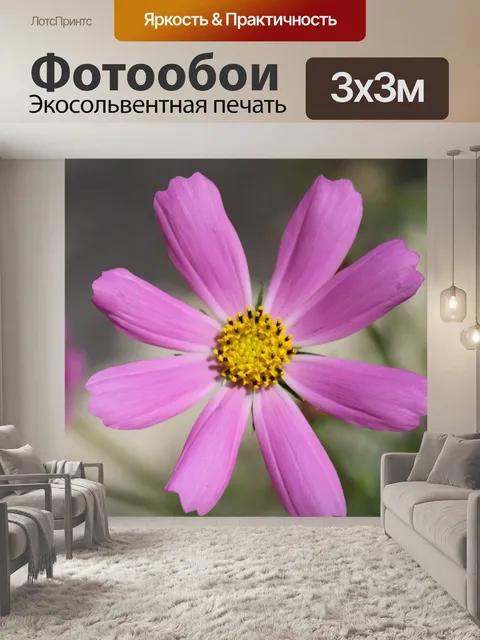 Фотообои Розовый цветок