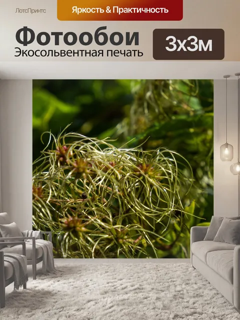 Фотообои Цветок
