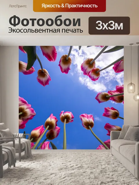 Фотообои Тюльпаны