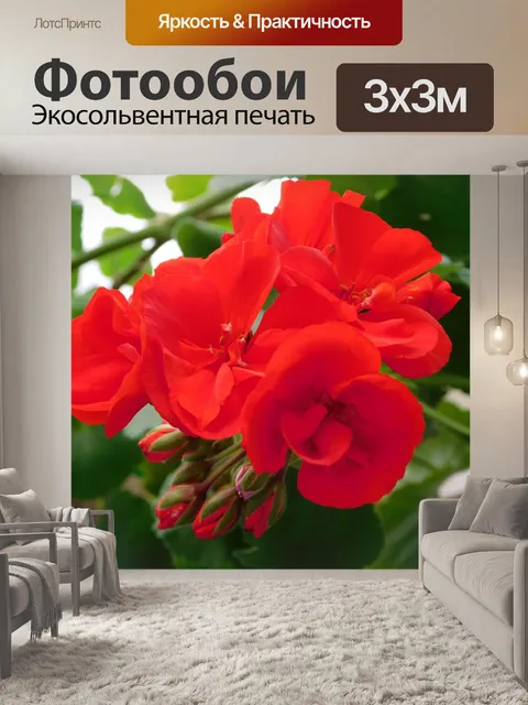 Фотообои Цветет