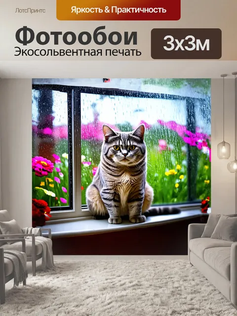 Фотообои британская короткошерстная кошка грациозно сидит на подоконнике, смотря на дождь за окном