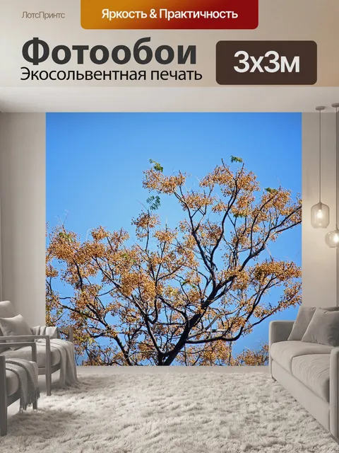Фотообои Сиринга в семени против неба.