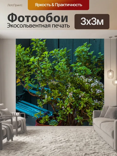Фотообои Патио Скамья и Буш