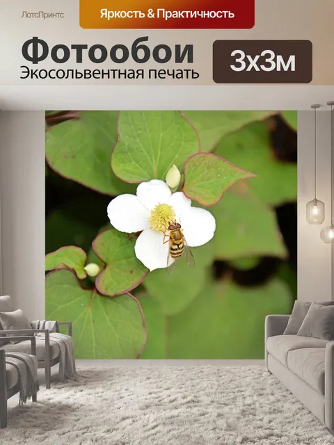 Фотообои Цветы и пчелы