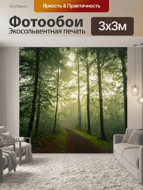 Фотообои утренний туман, мягкие солнечные лучи пробиваются сквозь деревья, покрытые росой