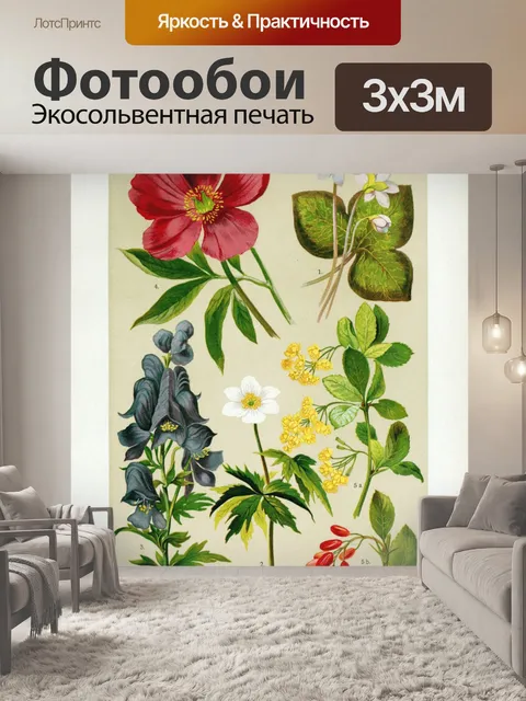 Фотообои Цветочная иллюстрация полевых цветов ста