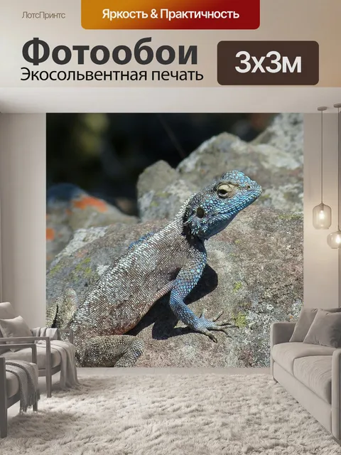 Фотообои Южная африка