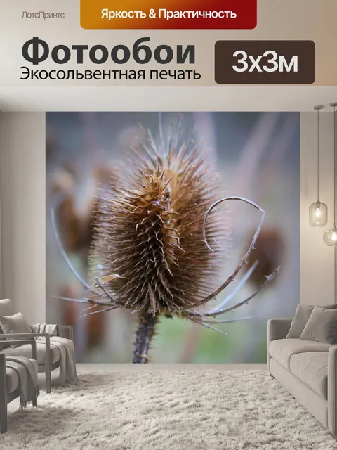 Фотообои Ворсянка